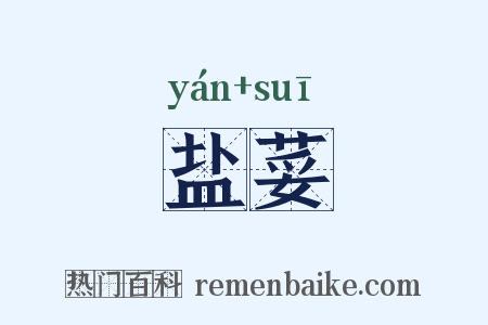 盐荽是什么意思的图片